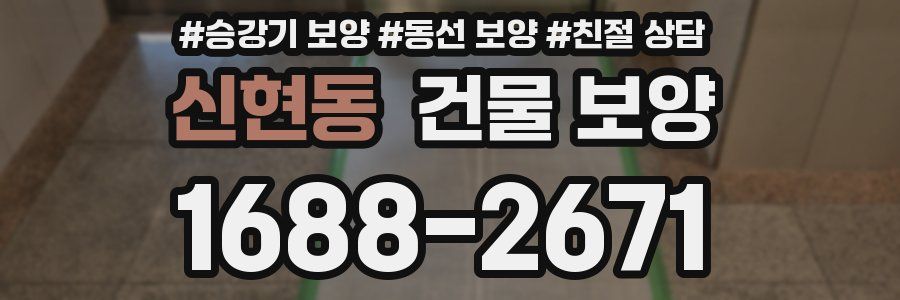 신현동 건물 보양
