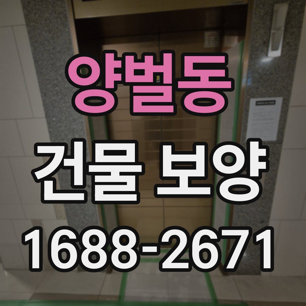 양벌동 건물 보양 작업 품질을 점검하는 실용 기준