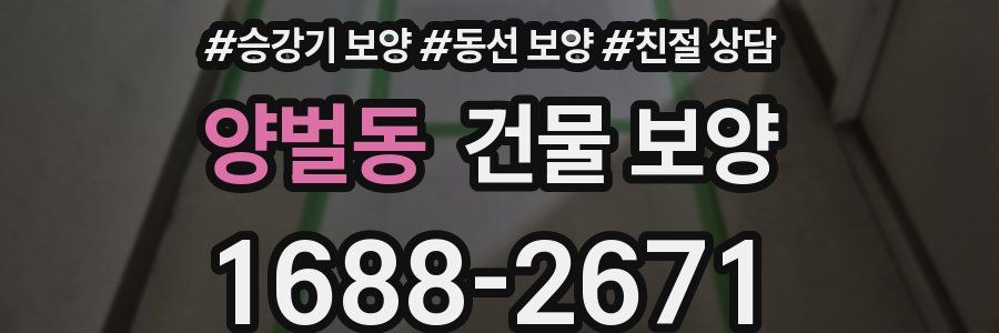 양벌동 건물 보양
