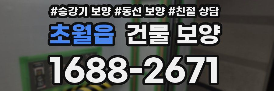 초월읍 건물 보양