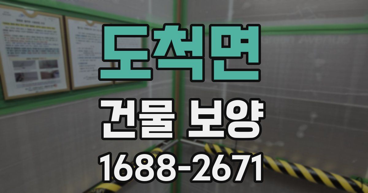 도척면 건물 보양