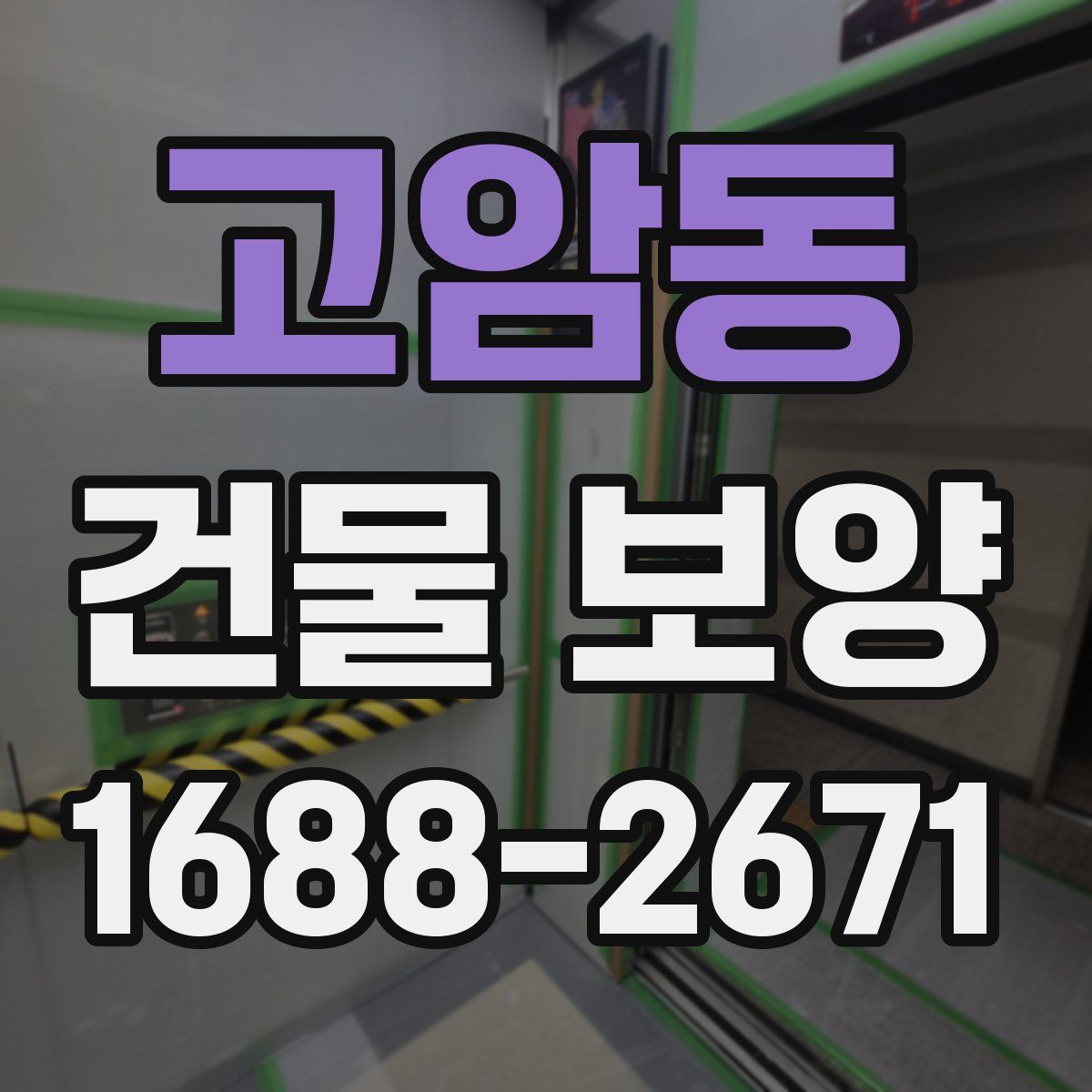 고암동 건물 보양