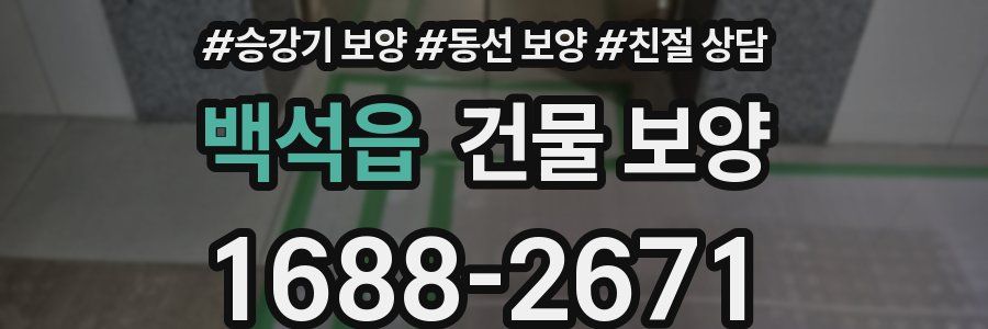 백석읍 건물 보양