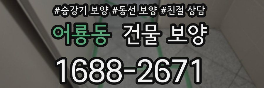어룡동 건물 보양