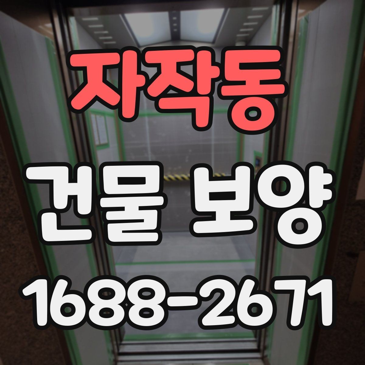자작동 건물 보양 작업의 핵심 포인트 정리