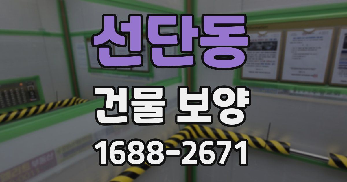 선단동 건물 보양