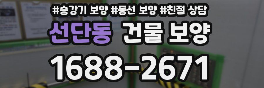 선단동 건물 보양