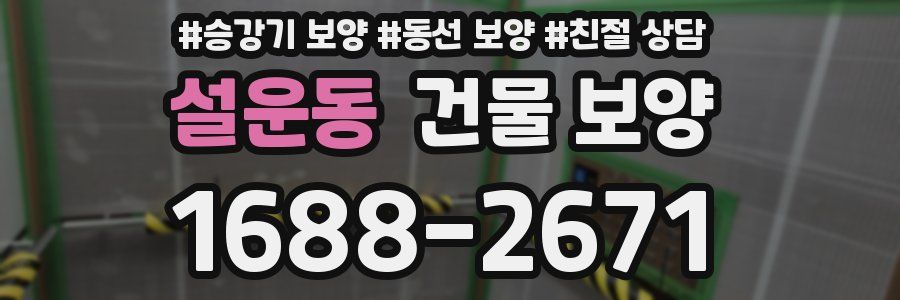 설운동 건물 보양