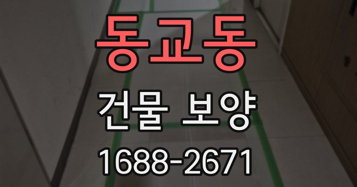 동교동 건물 보양