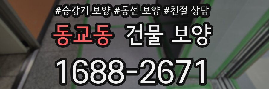 동교동 건물 보양