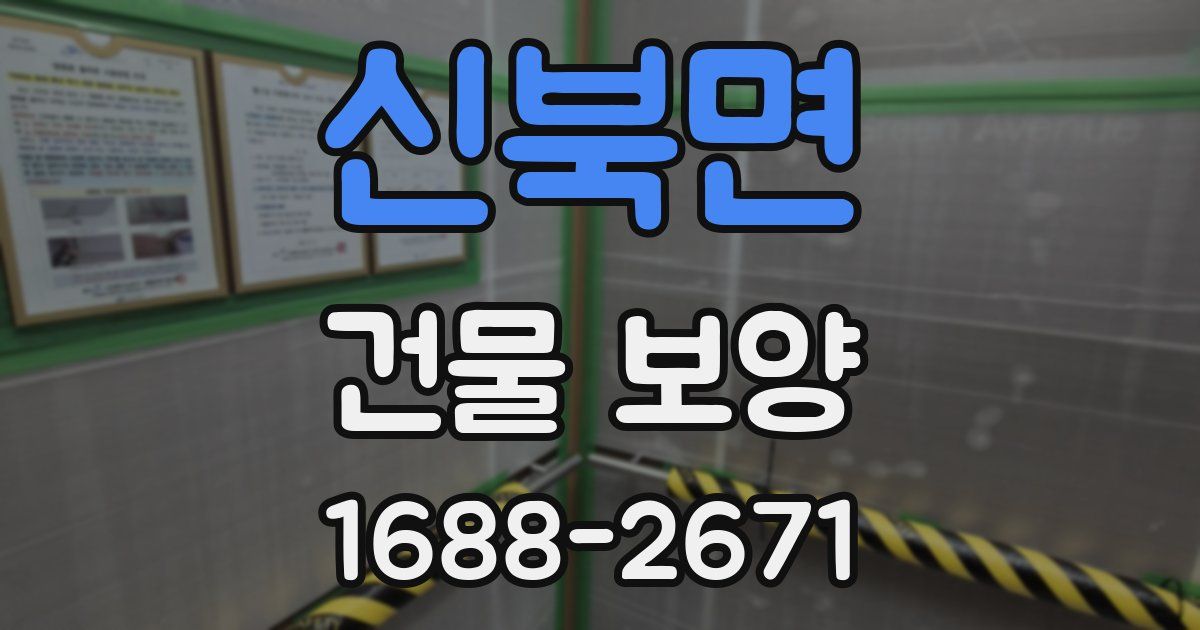 신북면 건물 보양