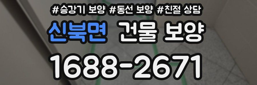 신북면 건물 보양