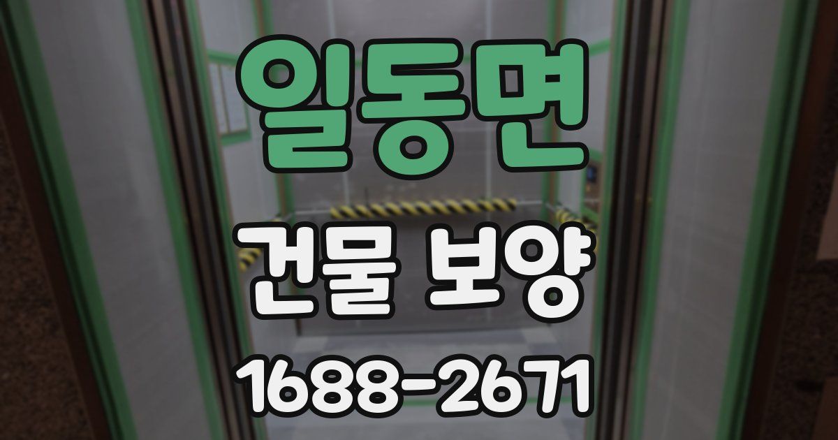 일동면 건물 보양