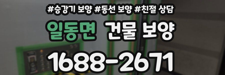 일동면 건물 보양