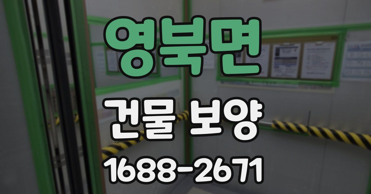 영북면 건물 보양