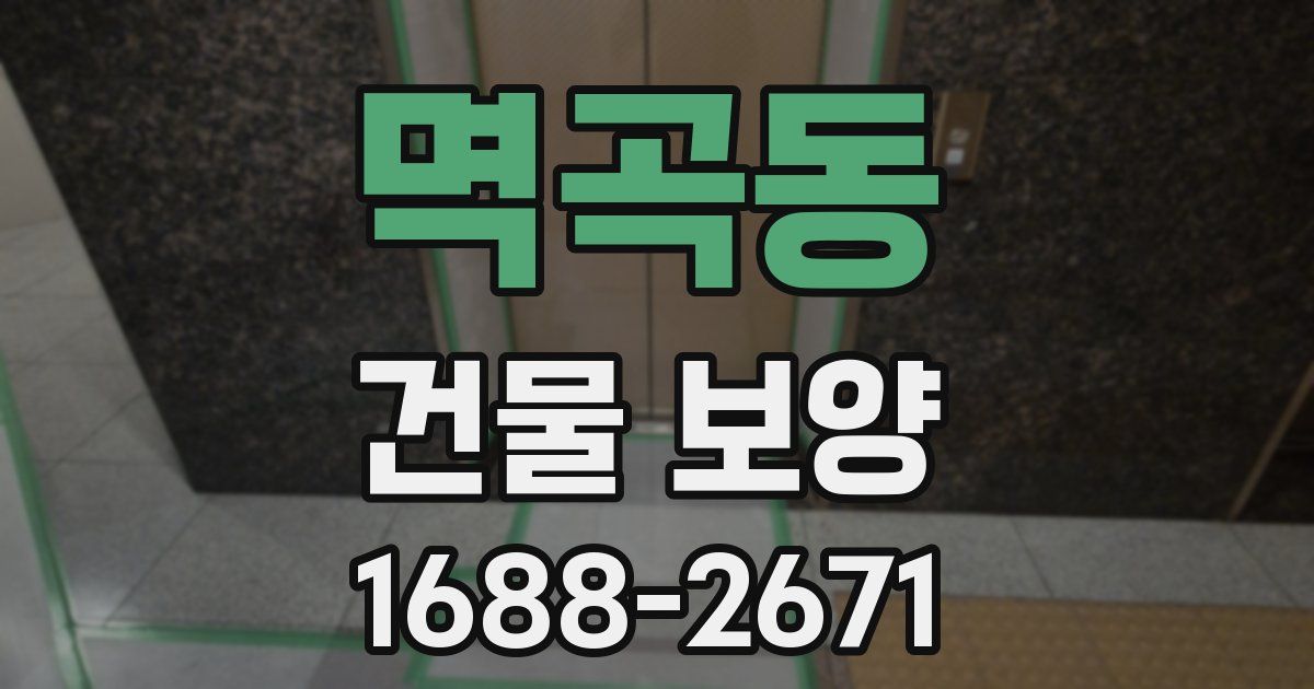 멱곡동 건물 보양
