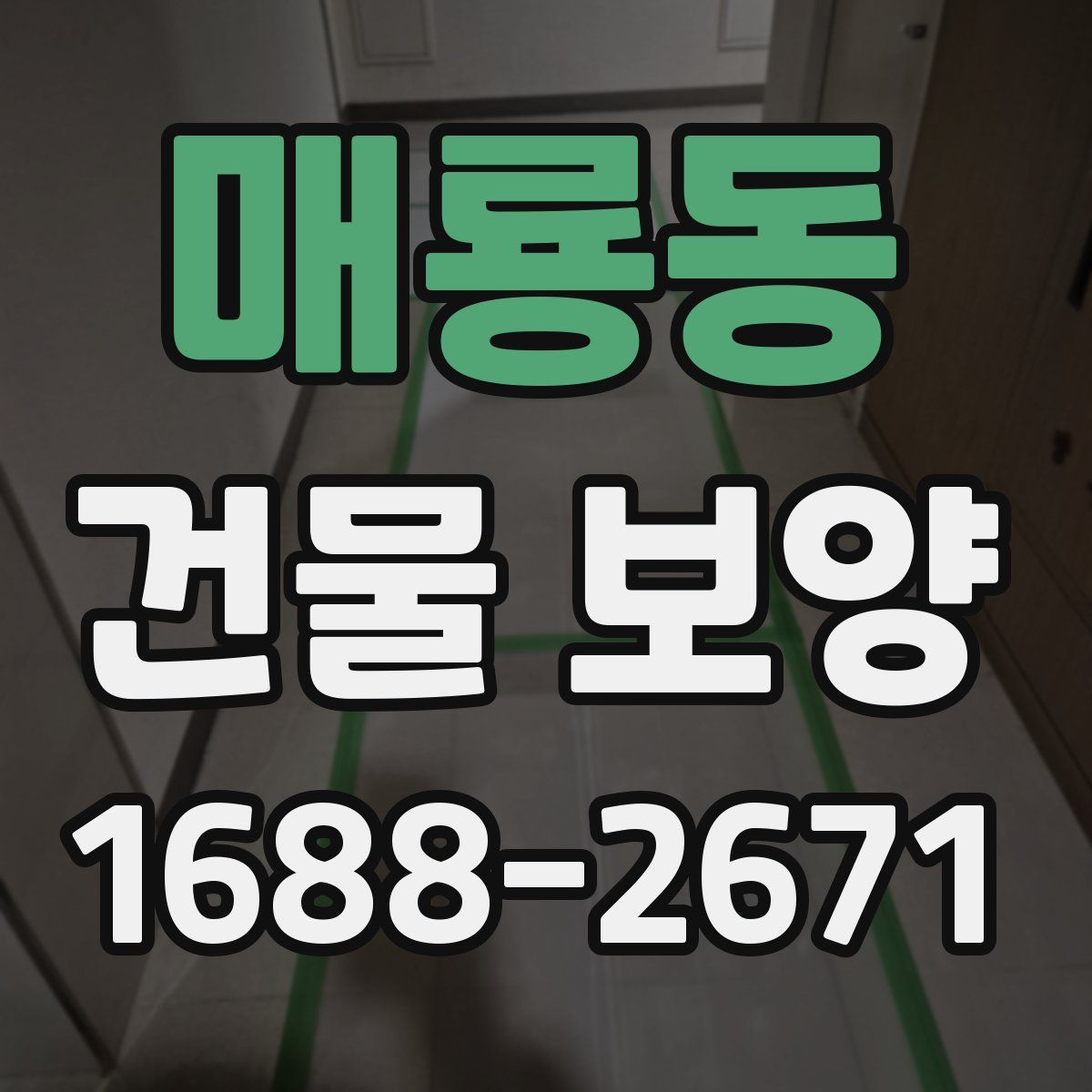 매룡동 건물 보양