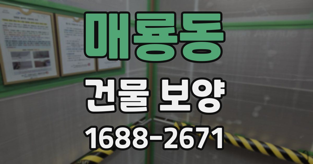 매룡동 건물 보양