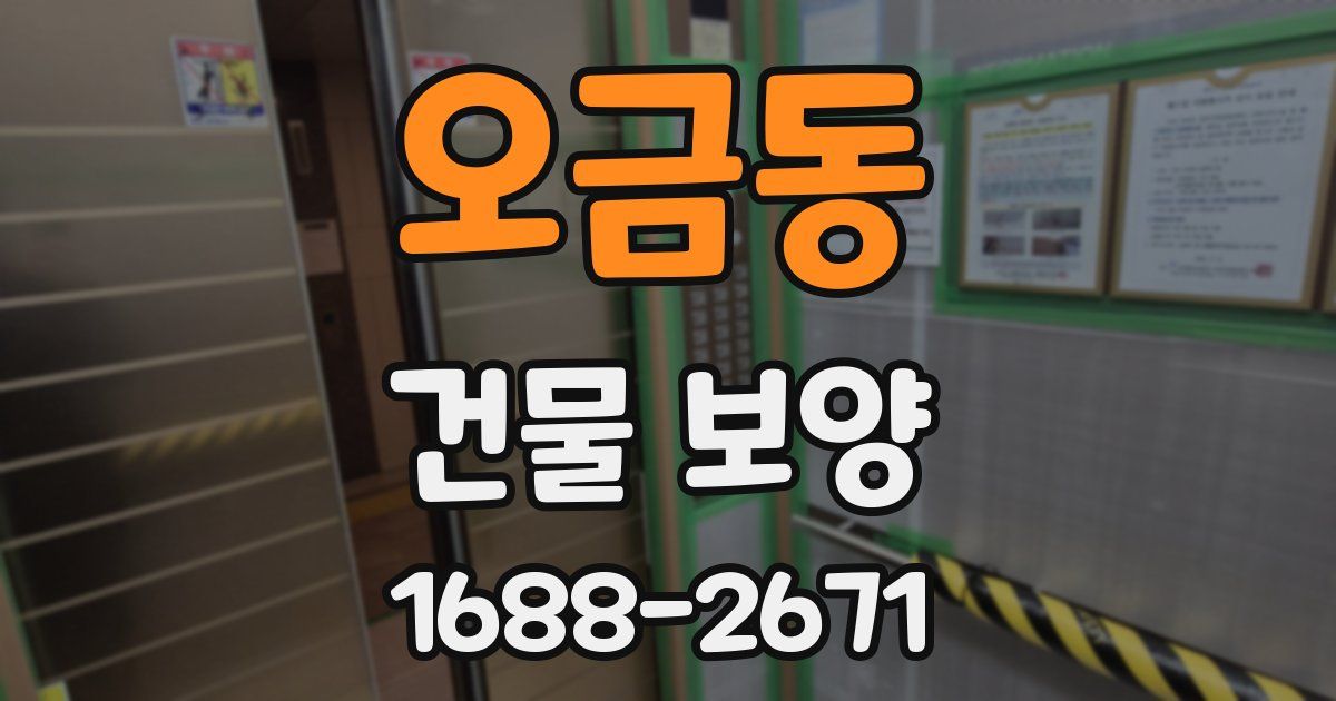 오금동 건물 보양