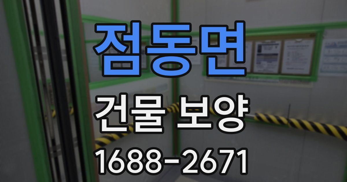 점동면 건물 보양