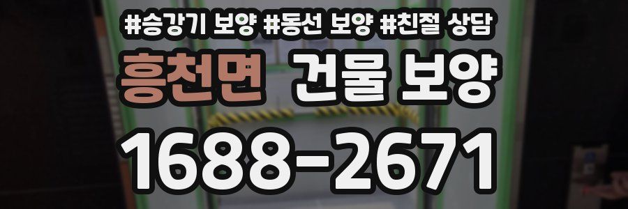 흥천면 건물 보양