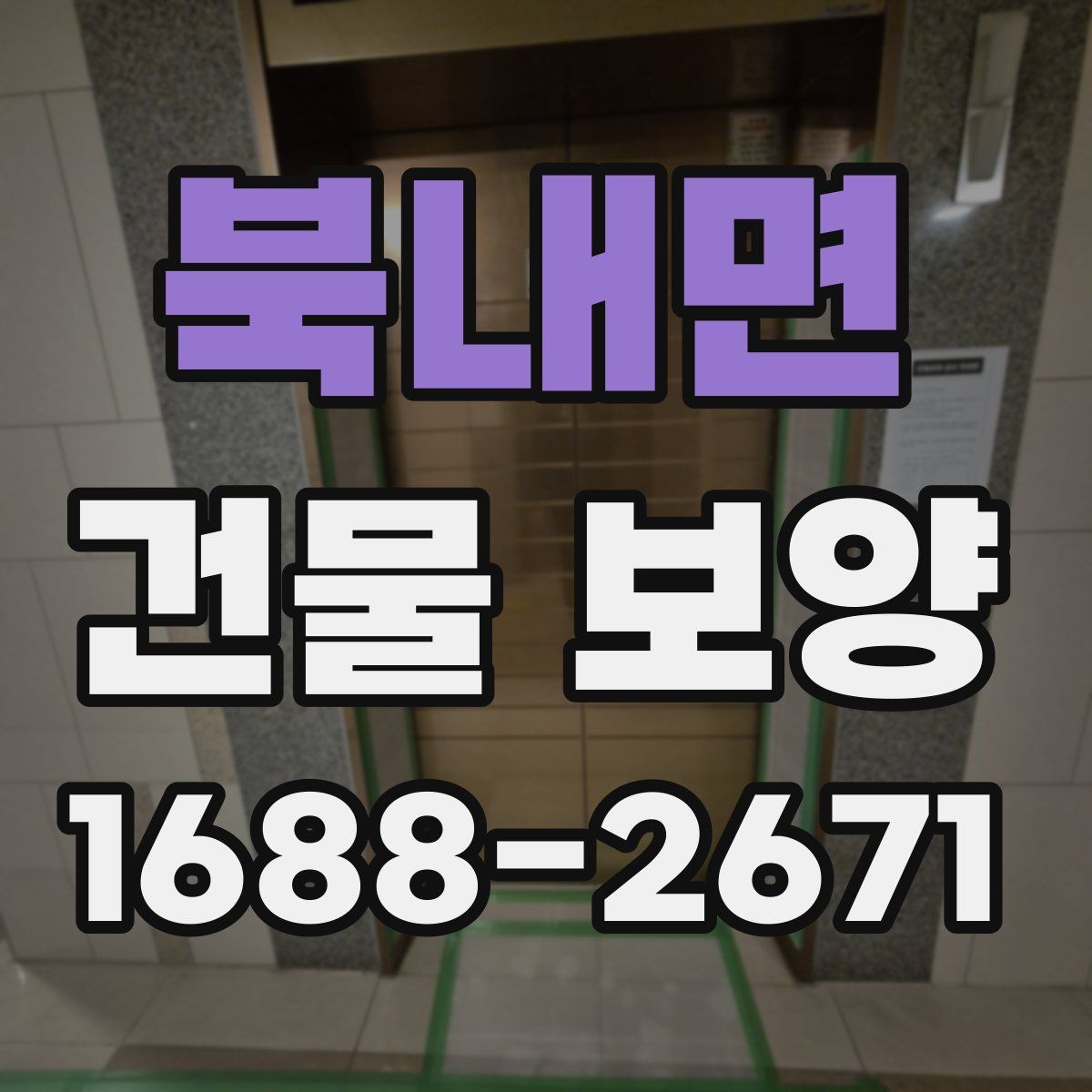 북내면 건물 보양