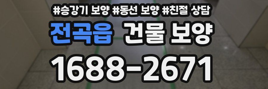 전곡읍 건물 보양
