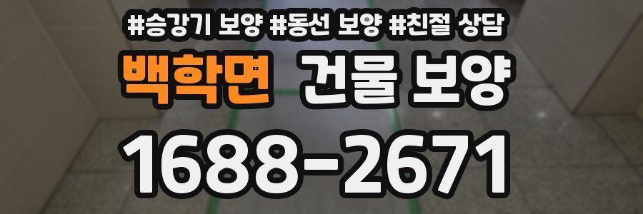 백학면 건물 보양
