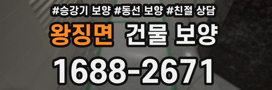 왕징면 건물 보양