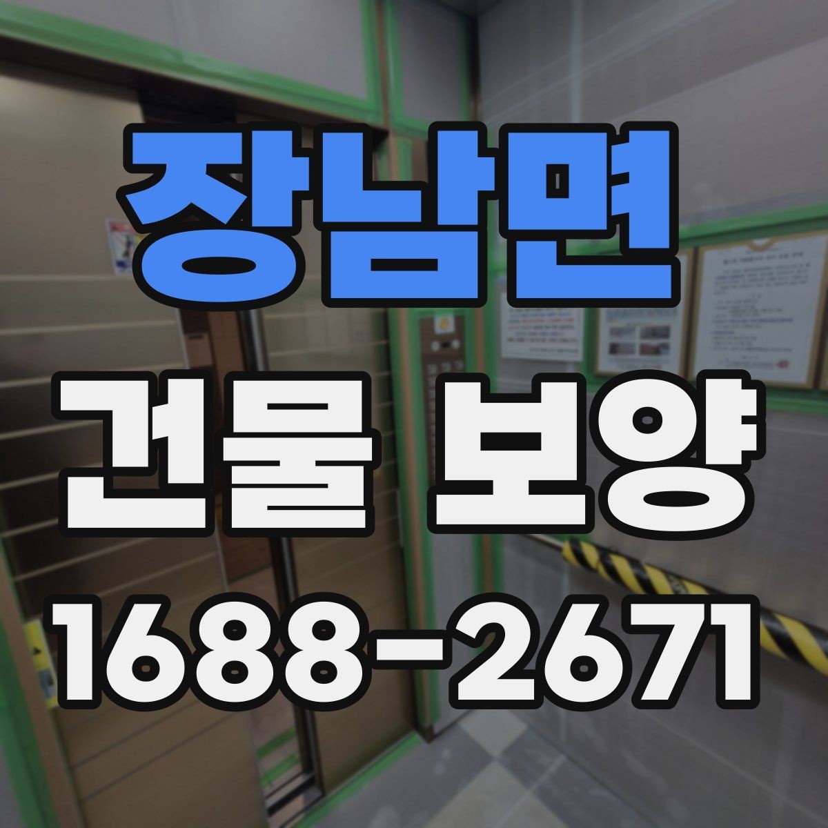장남면 건물 보양 현장에서 쓰는 주요 자재 비교