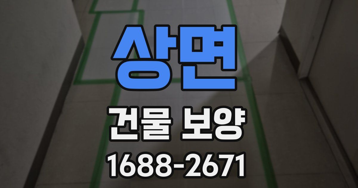 상면 건물 보양