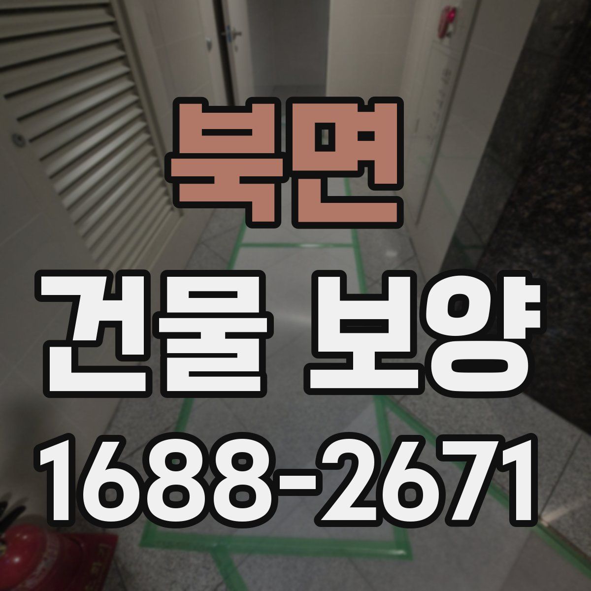 북면 건물 보양
