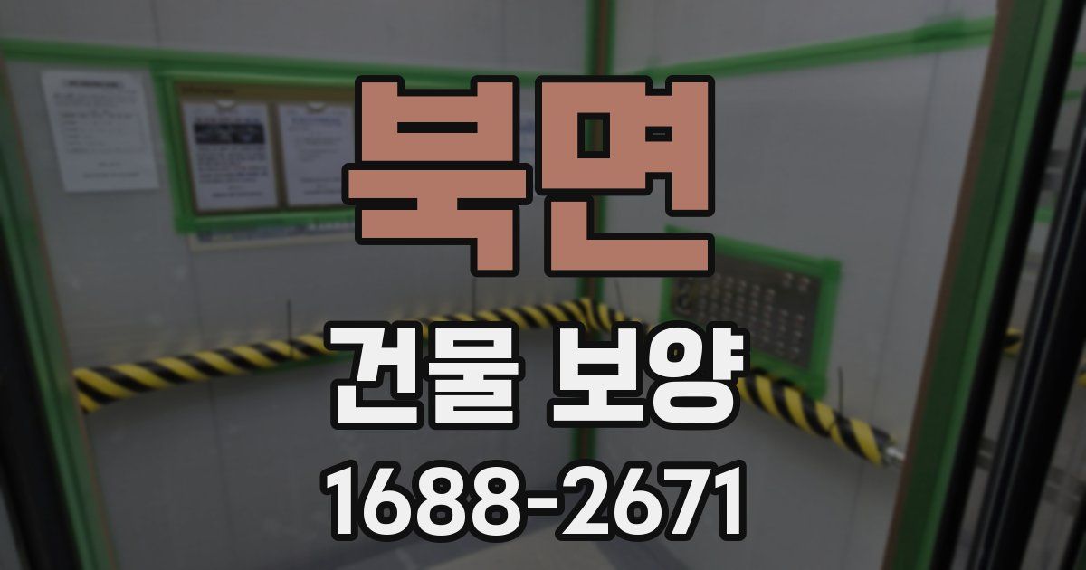 북면 건물 보양