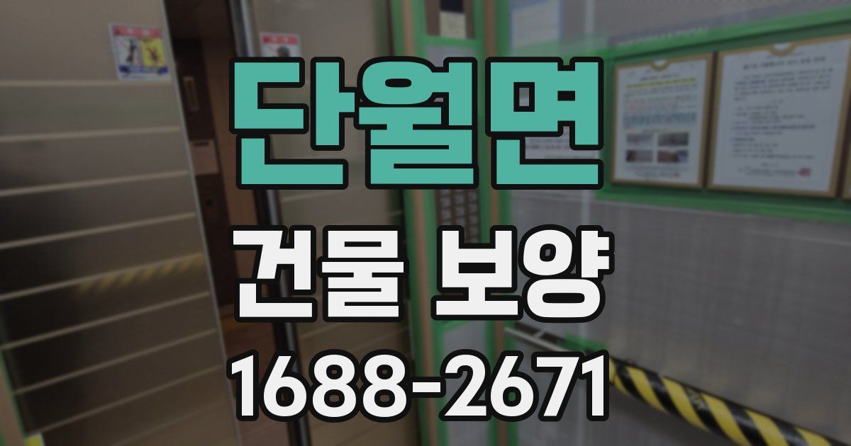 단월면 건물 보양