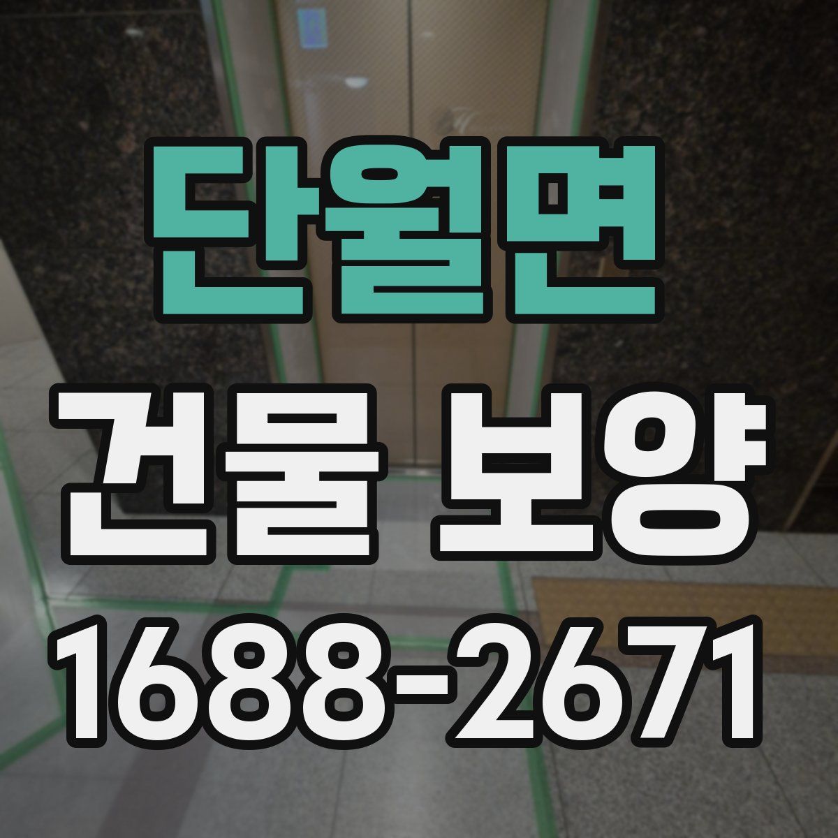 단월면 건물 보양