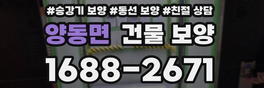 양동면 건물 보양