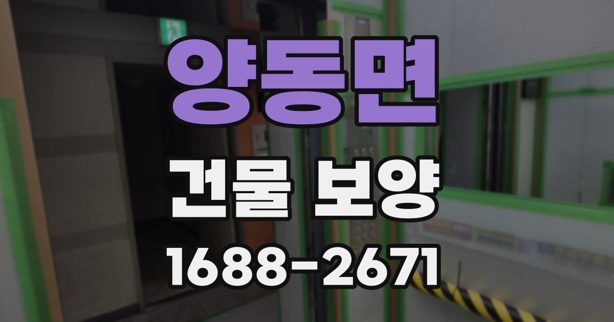 양동면 건물 보양