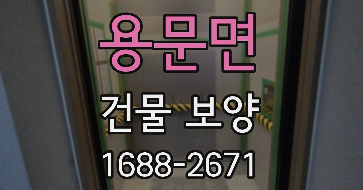 용문면 건물 보양