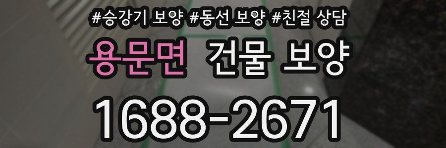 용문면 건물 보양