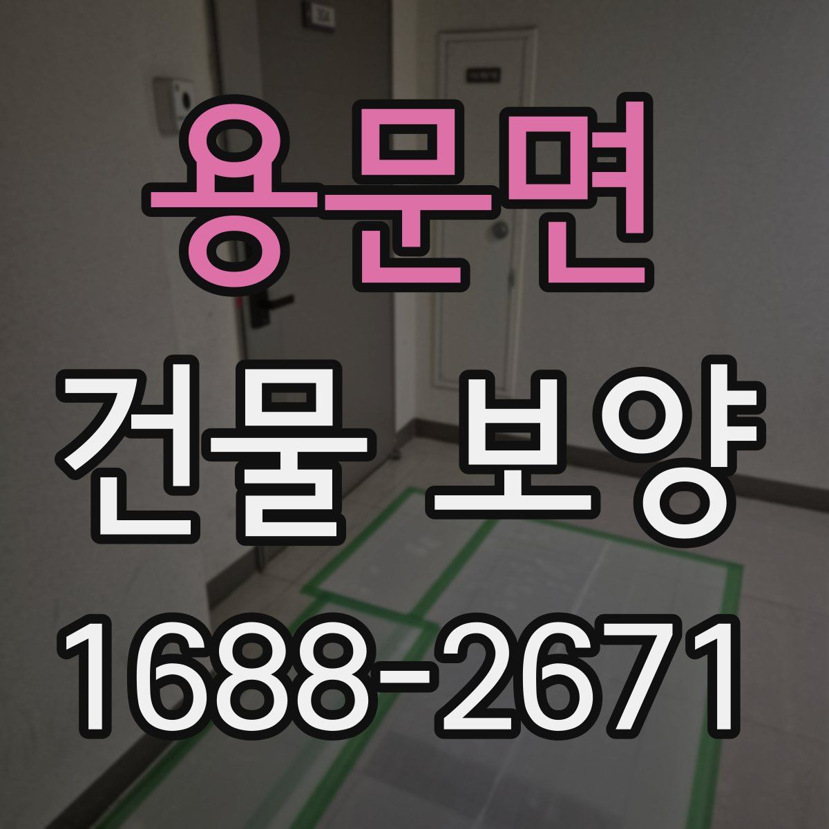 용문면 건물 보양