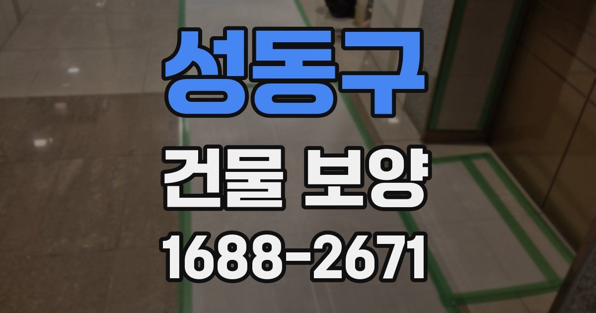 성동구 건물 보양