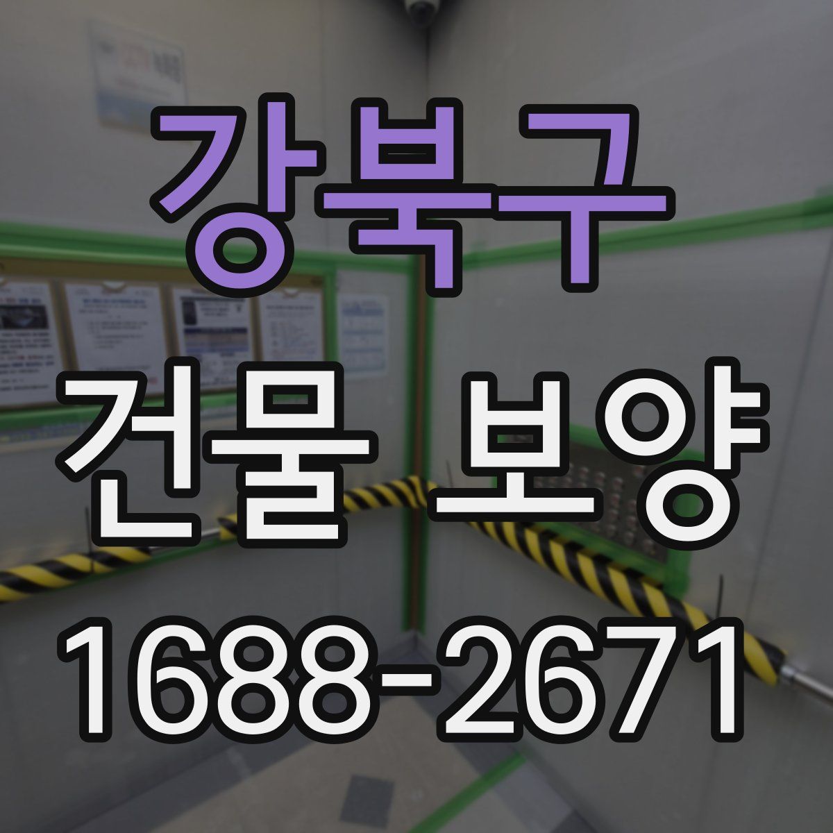 강북구 건물 보양