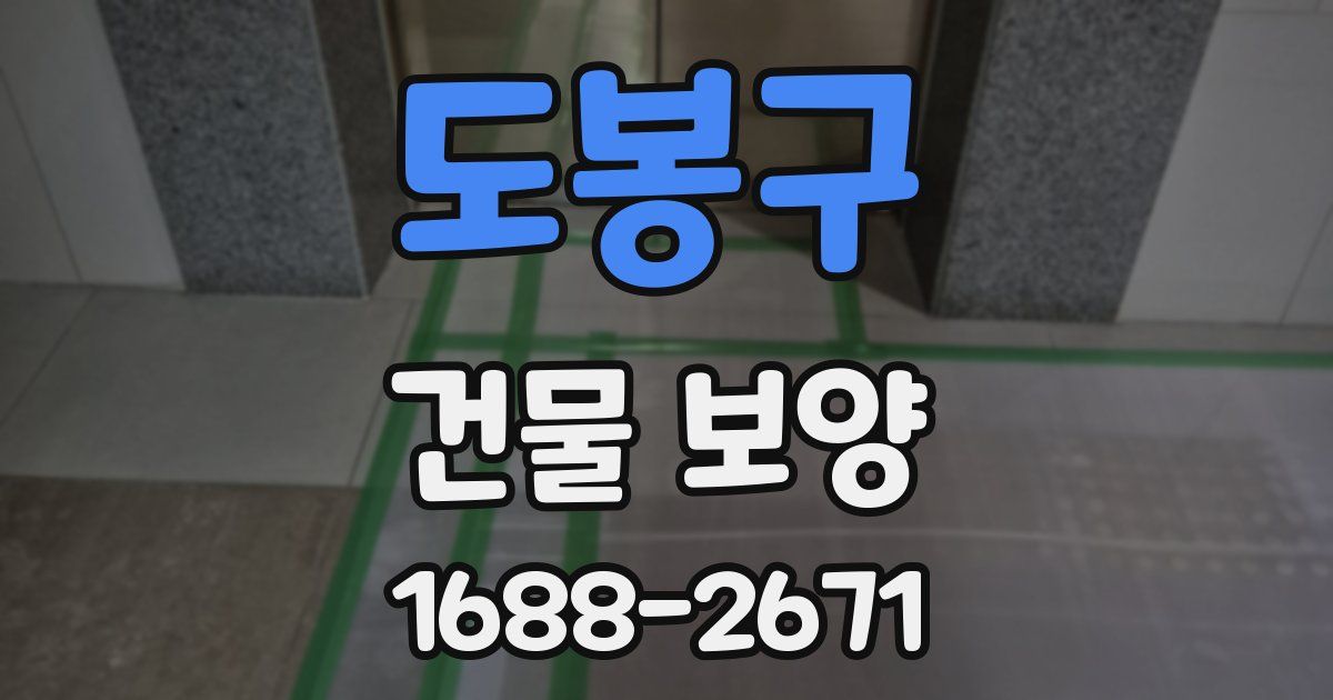 도봉구 건물 보양