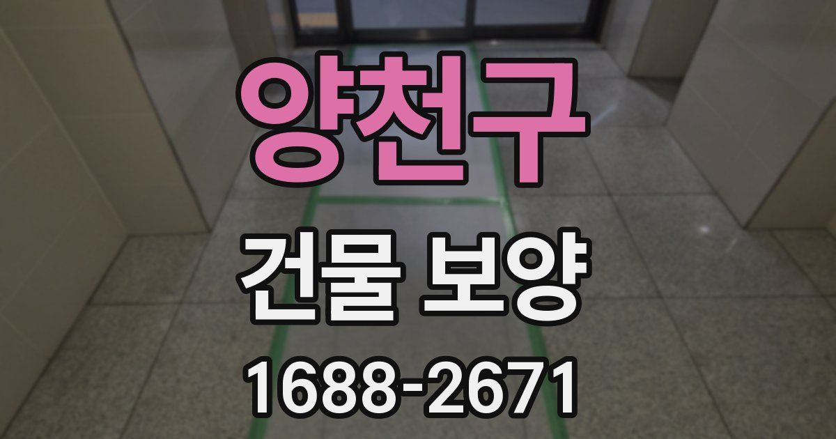 양천구 건물 보양