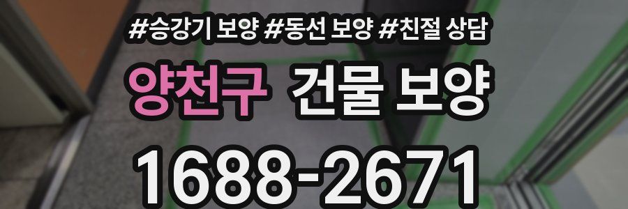 양천구 건물 보양
