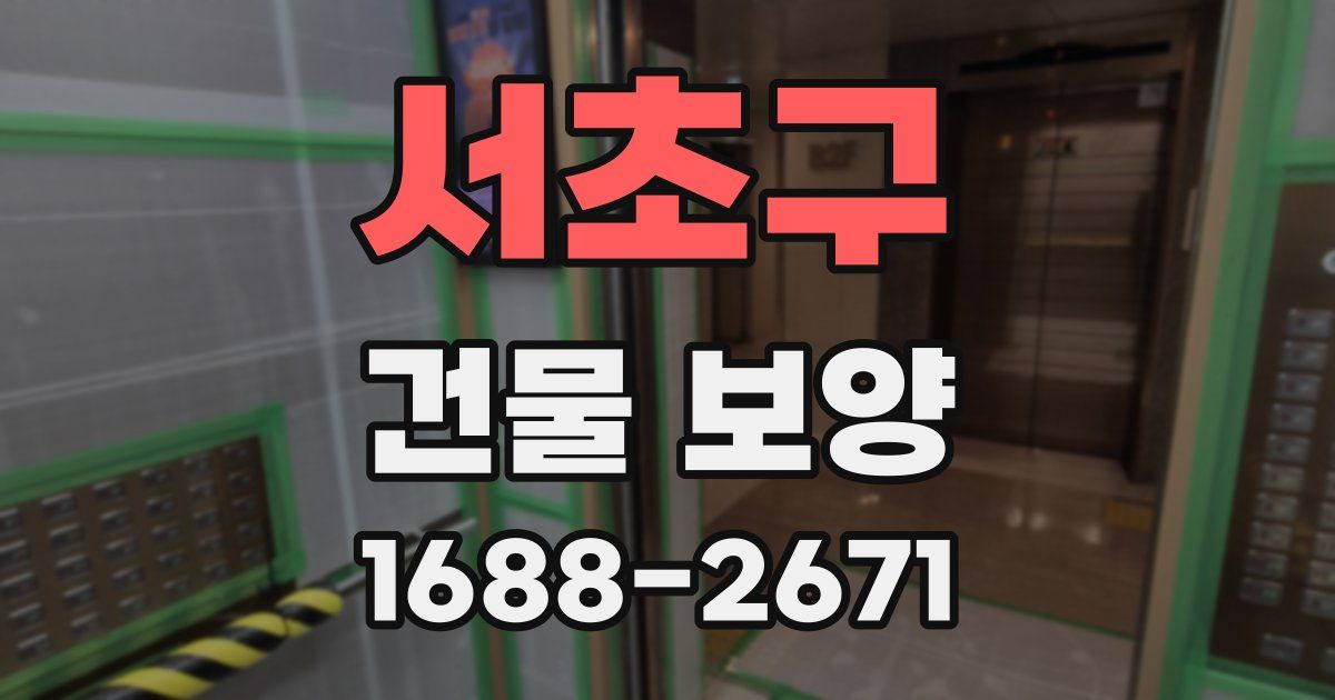 서초구 건물 보양