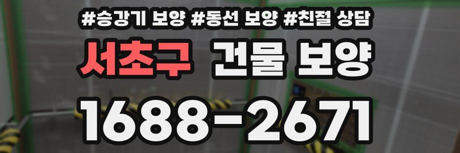 서초구 건물 보양