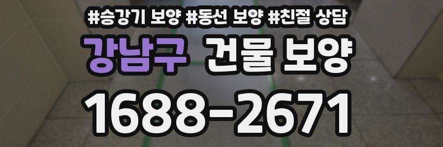 강남구 건물 보양