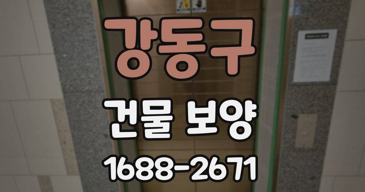 강동구 건물 보양
