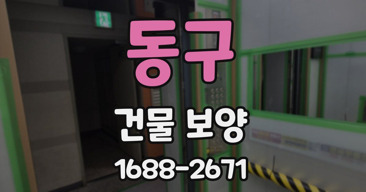 동구 건물 보양